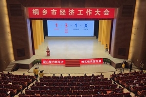 【菊鄉(xiāng)快評】經濟工作大會上，桐鄉(xiāng)市委書記為何重點講巨石的電子布？